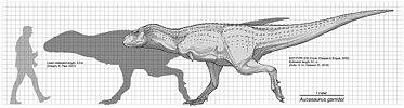 Khám phá kẻ săn mồi bí ẩn đến từ Argentina: Khủng long vùng Auca Mahuevo (Aucasaurus) - 2