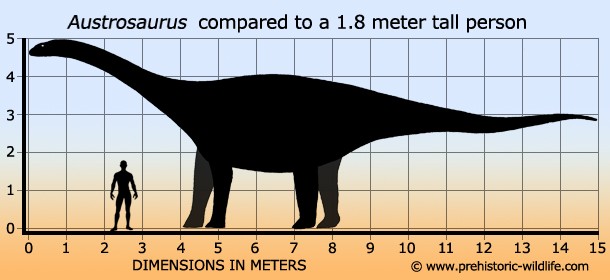 Khám phá thêm 5 bí ẩn về Khủng long phương nam Austrosaurus - 2