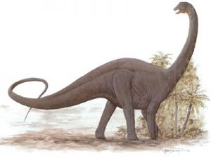 Khám phá 5 loài của chi Khủng long Nam bán cầu Antarctosaurus - 2