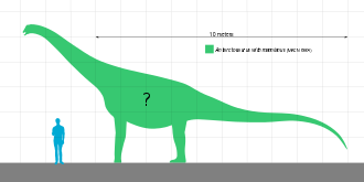 Khám phá 5 loài của chi Khủng long Nam bán cầu Antarctosaurus - 3