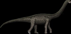 Khám phá thêm 5 bí ẩn về Khủng long phương nam Austrosaurus - 3