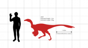 10+ thông tin hữu ích về loài Khủng long cổ điểu Archaeornithomimus - 3