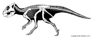 10+ khám phá về loài khủng long nhỏ bé đến từ Trung Quốc - Khủng long sừng cổ Archaeoceratops - 3
