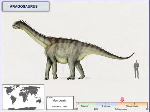 8 khám phá mới về loài khủng long độc quyền của Tây Ban Nha: Khủng long vùng Aragón (Aragosaurus) - 4