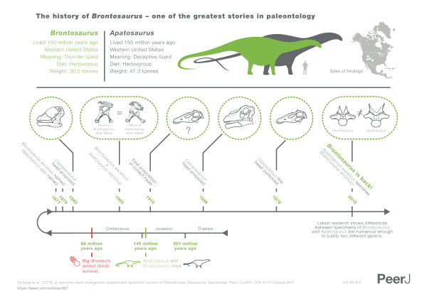 Top 3 điều thú vị nhất về Khủng long cổ dài Apatosaurus - 4