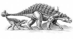7 bí ẩn về cỗ xe tăng hạng nặng thời tiền sử - Khủng long hợp nhất Ankylosaurus - 5