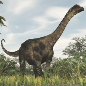 Khám phá 5 loài của chi Khủng long Nam bán cầu Antarctosaurus - 5