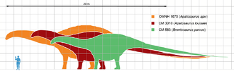 Top 3 điều thú vị nhất về Khủng long cổ dài Apatosaurus - 5