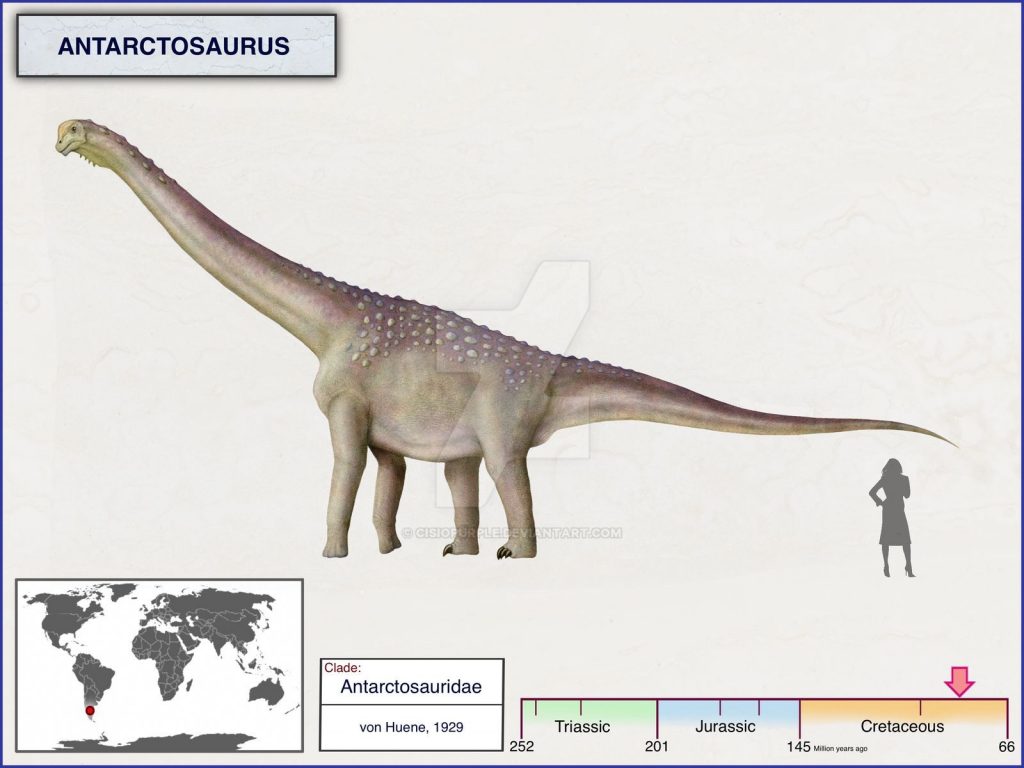 Khám phá 5 loài của chi Khủng long Nam bán cầu Antarctosaurus - 6