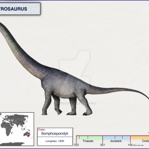 Khám phá thêm 5 bí ẩn về Khủng long phương nam Austrosaurus - 7
