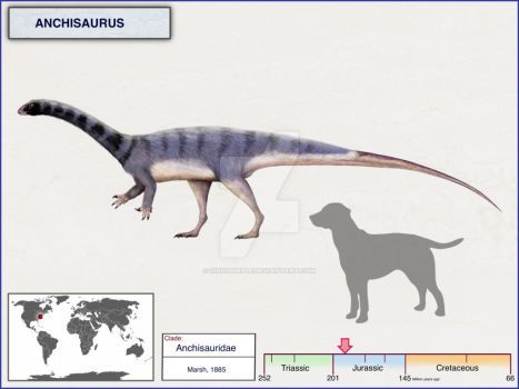 5 khám phá thú vị về Khủng long cận nguyên Anchisaurus - 6
