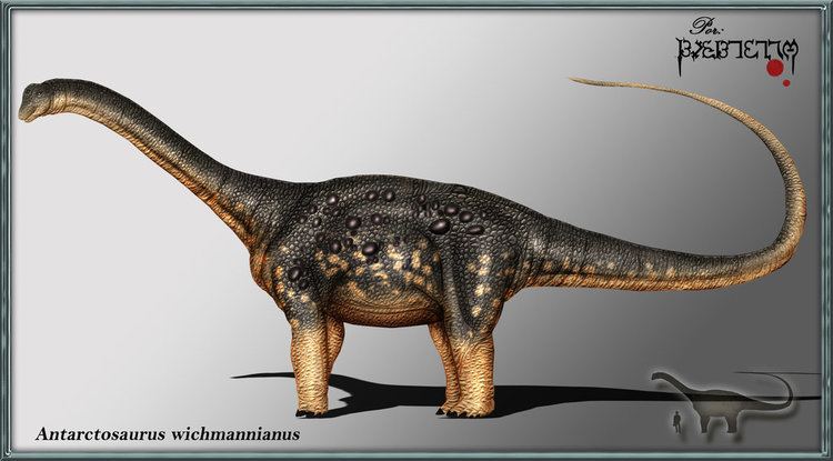 Khám phá 5 loài của chi Khủng long Nam bán cầu Antarctosaurus - 7