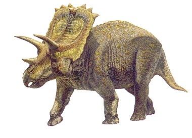 Khám phá loài Khủng long cận mặt sừng Anchiceratops - 7