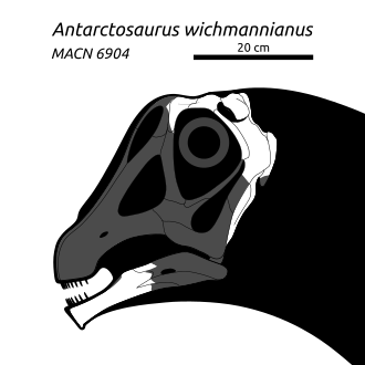 Khám phá 5 loài của chi Khủng long Nam bán cầu Antarctosaurus - 8