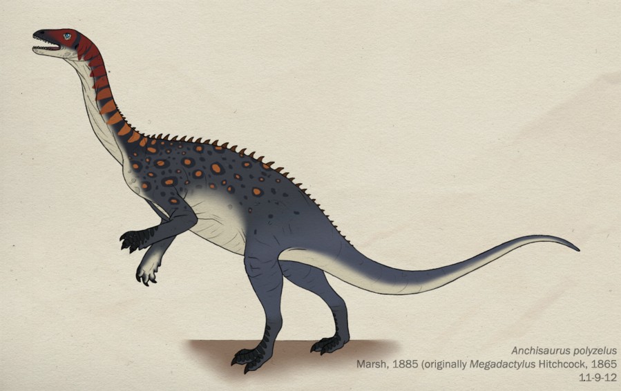 5 khám phá thú vị về Khủng long cận nguyên Anchisaurus - 9