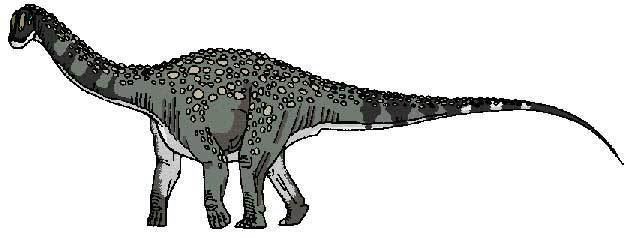 Khám phá 5 loài của chi Khủng long Nam bán cầu Antarctosaurus - 9