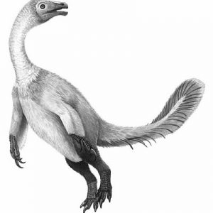 Khủng long Bắc Phiếu Beipiaosaurus - 1