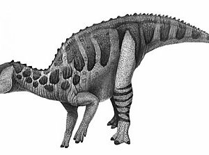 khủng long Baktron (Bactrosaurus) - 1