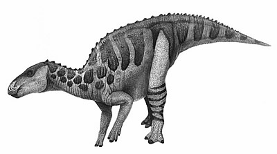 khủng long Baktron (Bactrosaurus) - 1