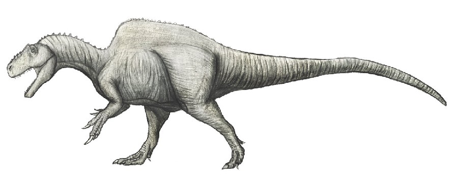 khủng long xương sống của Beckle - 1