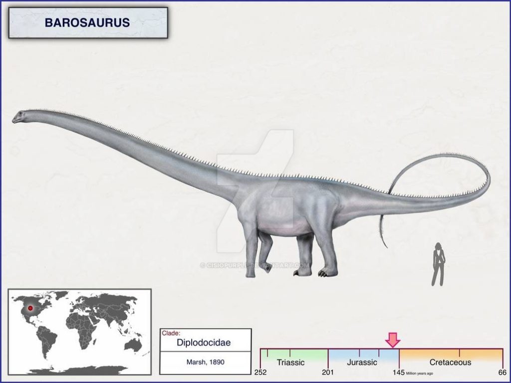 Khủng long siêu nặng Barosaurus - 10