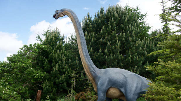 Khủng long hữu thủ Brachiosaurus - 10