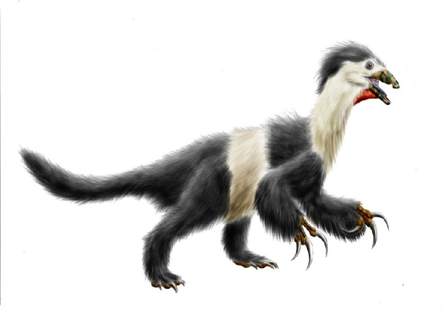  Khủng long Bắc Phiếu Beipiaosaurus - 11