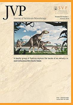Những phát hiện động trời về loài Khủng long mặt sừng Ava (Avaceratops) - 12
