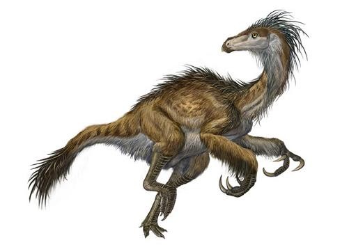  Khủng long Bắc Phiếu Beipiaosaurus - 13