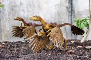 Khủng long kẻ cướp Bambi (Bambiraptor) - 15