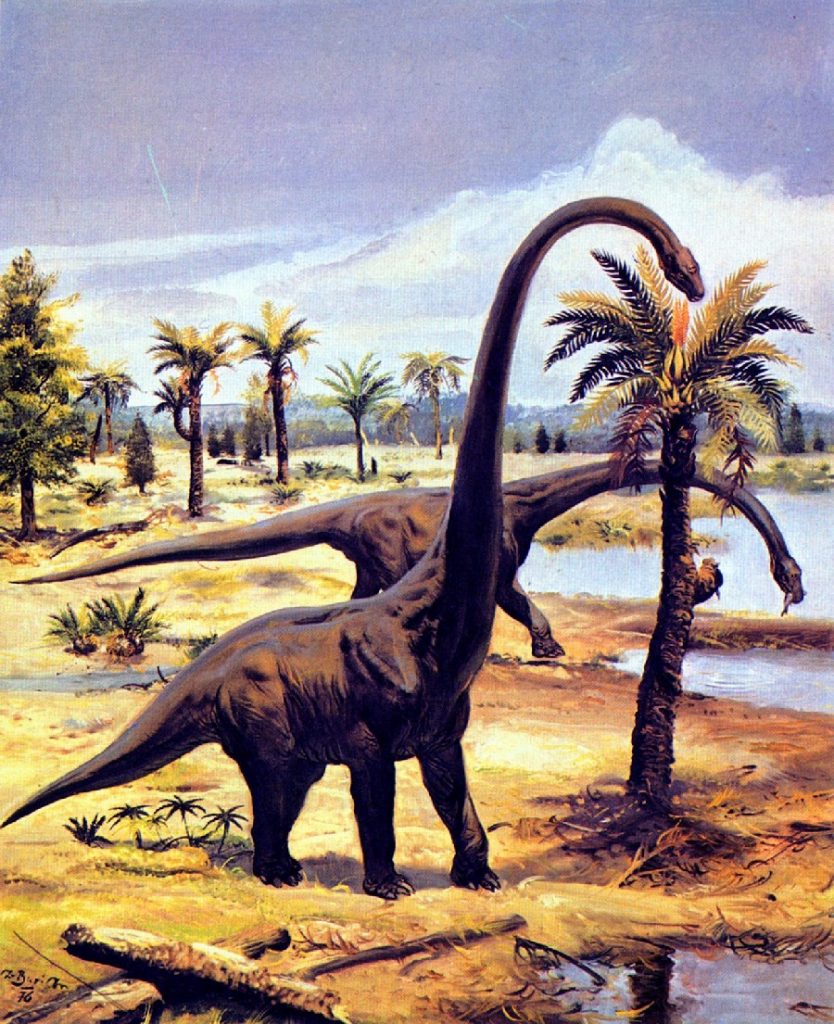 Khủng long siêu nặng Barosaurus - 2