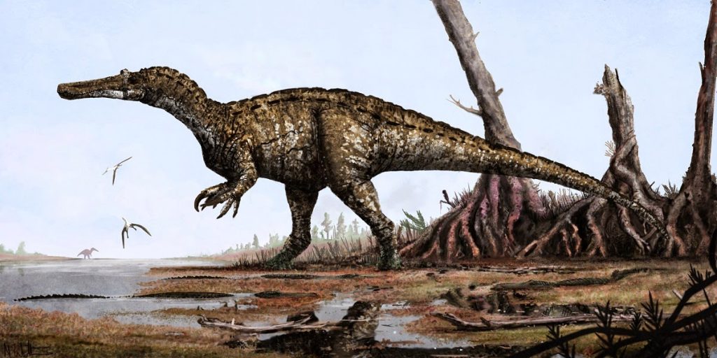 Kẻ săn mồi khéo léo nhất thời tiền sử - Khủng long trọng sam Baryonyx - 2