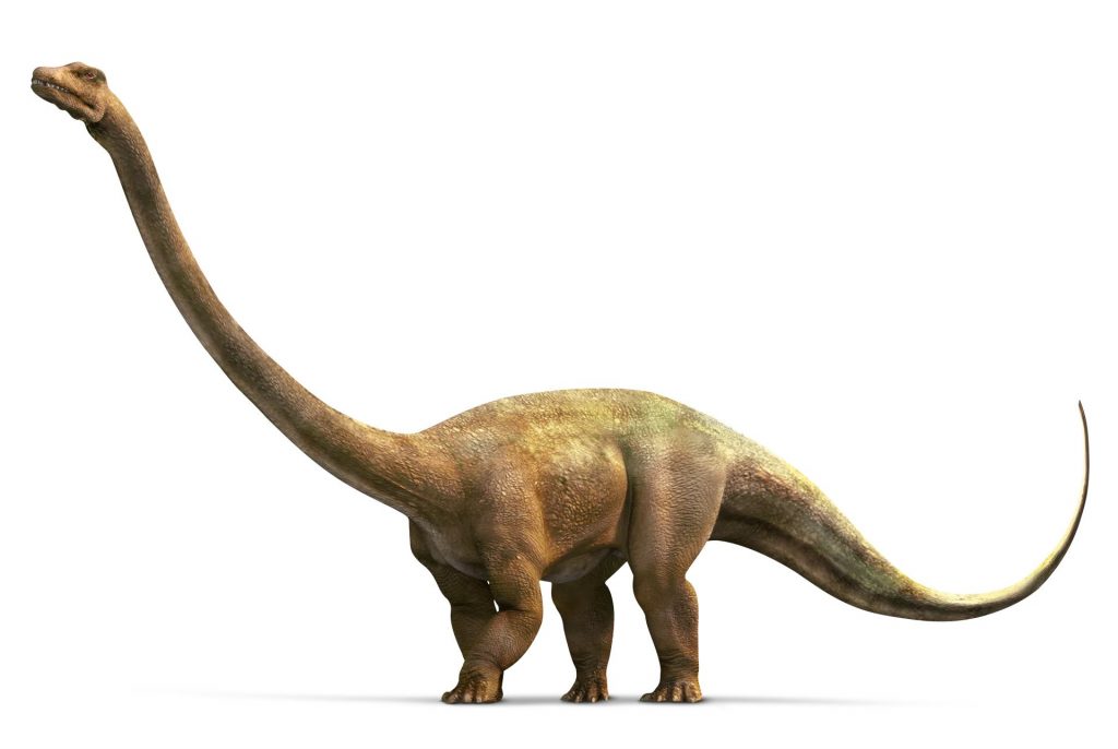 Khủng long siêu nặng Barosaurus - 3