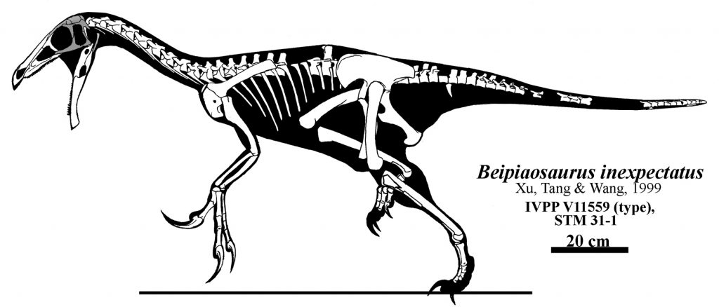  Khủng long Bắc Phiếu Beipiaosaurus - 3