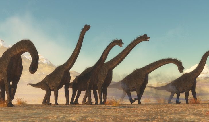 Khủng long hữu thủ Brachiosaurus - 3