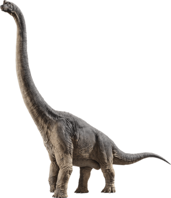 Khủng long hữu thủ Brachiosaurus - 4
