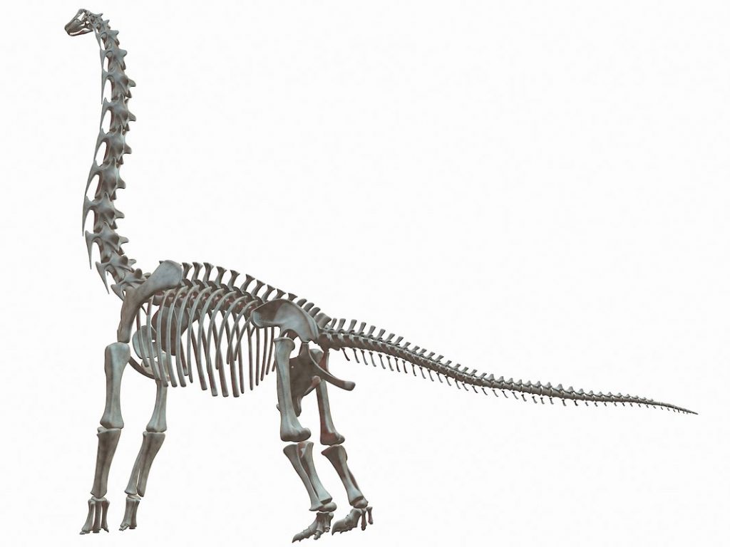 Khủng long hữu thủ Brachiosaurus - 5