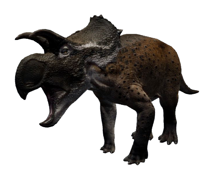 Những phát hiện động trời về loài Khủng long mặt sừng Ava (Avaceratops) - 5