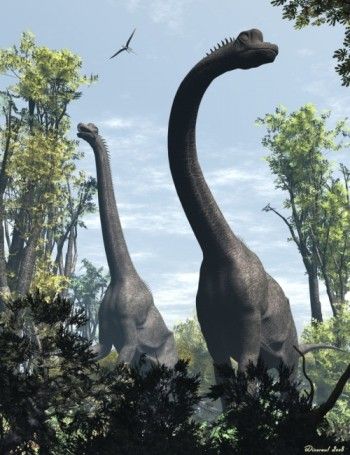 Khủng long hữu thủ Brachiosaurus - 6