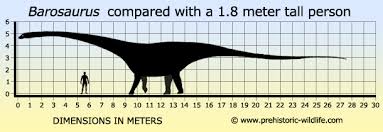 Khủng long siêu nặng Barosaurus - 6