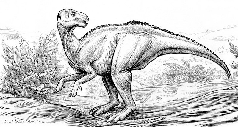 khủng long Baktron (Bactrosaurus) - 8