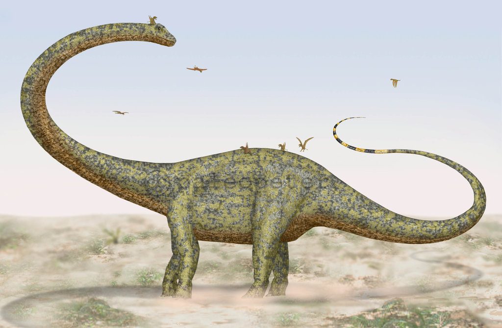 Khủng long siêu nặng Barosaurus - 7