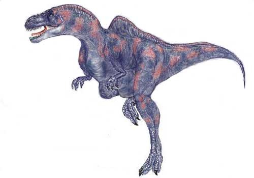 khủng long xương sống của Beckle - 7