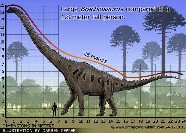 Khủng long hữu thủ Brachiosaurus - 7