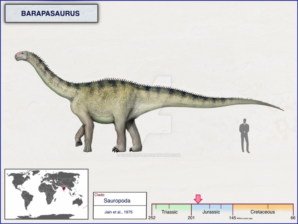 Khủng long chân to Barapasaurus - 7