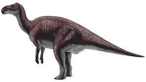 khủng long Baktron (Bactrosaurus) - 9