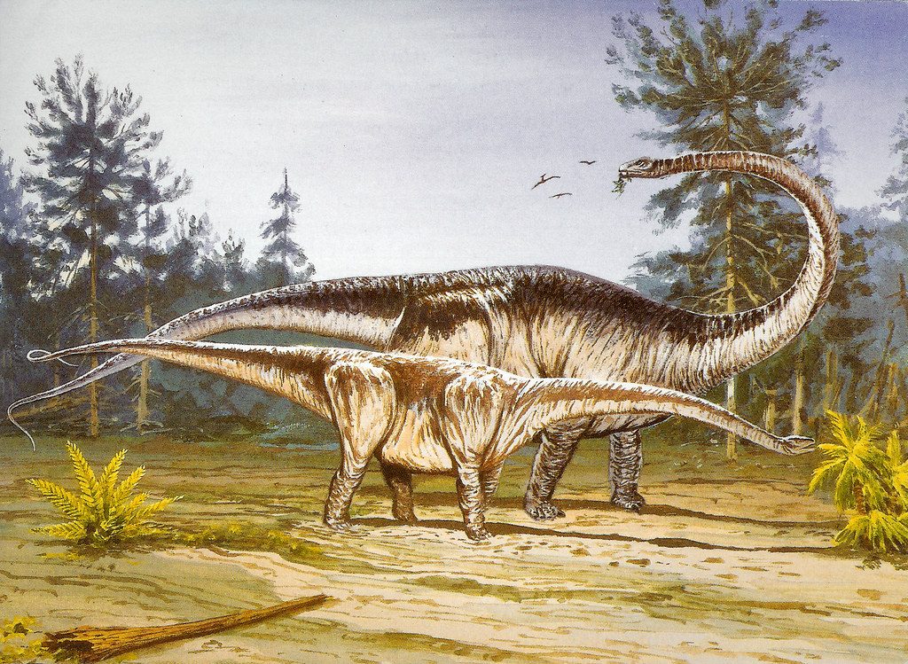 Khủng long siêu nặng Barosaurus - 8
