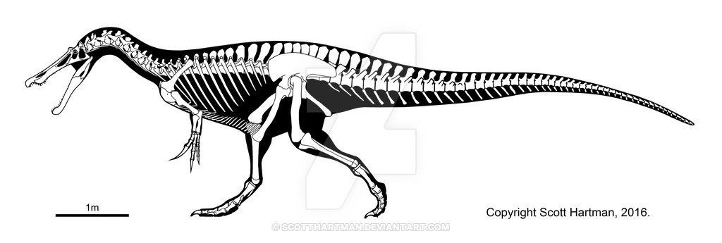 Kẻ săn mồi khéo léo nhất thời tiền sử - Khủng long trọng sam Baryonyx - 8