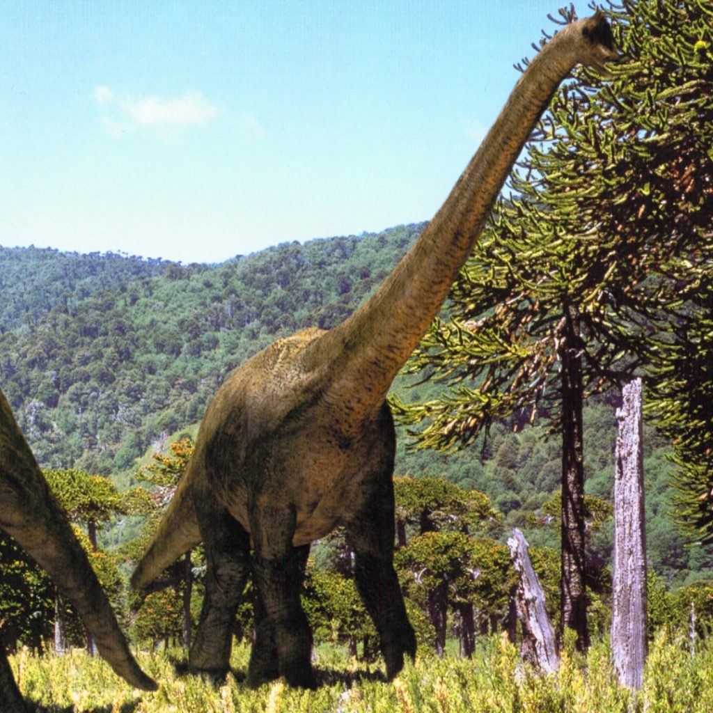 Khủng long hữu thủ Brachiosaurus - 9