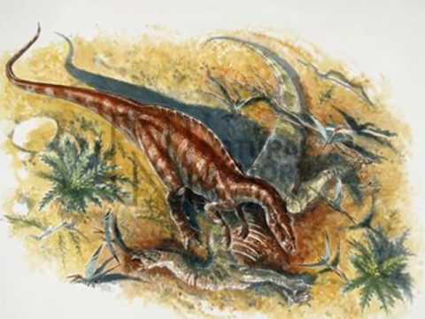 khủng long xương sống của Beckle - 9